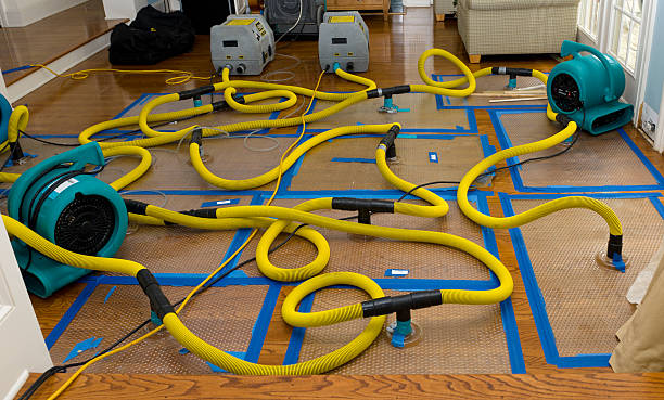 Professional Crawl Space Water Removal technician working in Midland Park, NJ